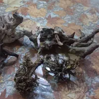 چوب آبنوس اصلی|ماهی|اسلامشهر, زرافشان|دیوار