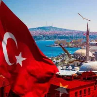 کار پرورش قارچ در ترکیه خیلی فوری