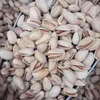 پسته اکبری دستچین