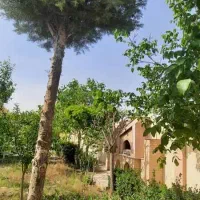 زمین سندار آرامگافردوسی گوارشک دیاکو فرماینه اقساط|فروش خانه و ویلا|مشهد, توس فردوسی|دیوار