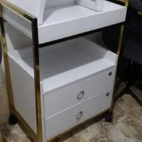 لوازم سالنی