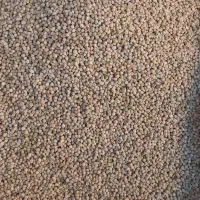 نخود بسطام|حراج|خرم‌آباد, |دیوار