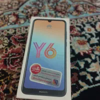 y 6 prime 2019