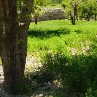 باغ-میشخاص-بر-جاده-اصلی-سند-دار