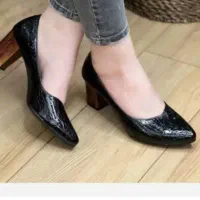 کیف و کفش ست مجلسی