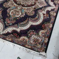 ۱ تخته فرش ۶متری اصل ۷۰۰ شانه تراکم ۲۵۵۰|فرش|نسیم‌شهر, |دیوار