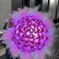 بوکت و باکس پروانه|اسباب‌‌بازی|بروجرد, |دیوار