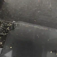 بوفه|بوفه، ویترین، کنسول|یزد, |دیوار