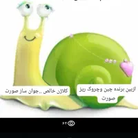 تخم حلزون موجوده