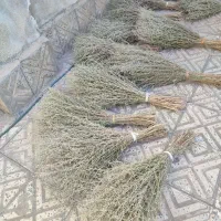 جاروی دستی