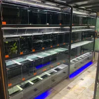 آکواریوم سالنی فروشگاهی تمیز و خاص