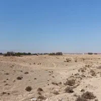 زمین کشاورزی مساحت (۵۵.۸۰۴) خورموج روستای نودرار|فروش زمین و ملک کلنگی|خورموج, |دیوار