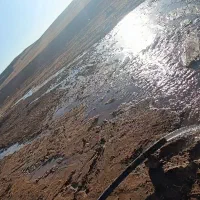 زمین کشاورزی