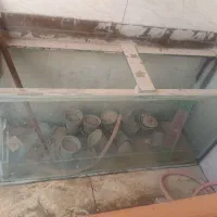 آکواریوم یک متر شیشه ضخیم کاملا سالم