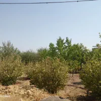 فروش عمارت در مهدی آباد نزدیک مشهد اردهال کاشان|فروش خانه و ویلا|دلیجان, |دیوار