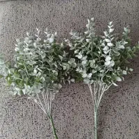 ۲ تا بوته شمشاد برفی نو