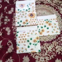 ظروف عیدخوی