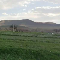 زمین-در-ساماندهی-دادگستری