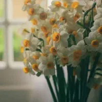 اجاره-ملکی-دربست