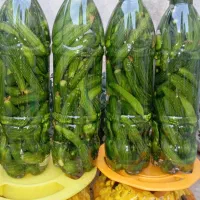 ترشی خونگی|خوردنی و آشامیدنی|شیراز, شهرک کوشکک|دیوار