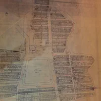 فروش زمین ۲۵۰ متری در کوی غلام نیا