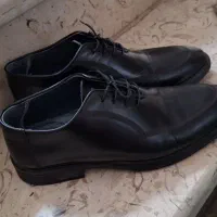 کفش چرم تبریز|کیف، کفش، کمربند|رشت, رشتیان|دیوار