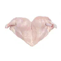 نیازمند بیخس کار مرغ