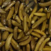 خیار شور