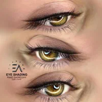 نیاز به یک مدل برای شیدینگ لب و خط چشم مینیاتوری|خدمات آرایشگری و زیبایی|مشهد, فرهنگ|دیوار