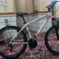 دوچرخه ویوا اکسیژن