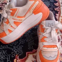 کفش کتونی|کیف، کفش، کمربند|نیشابور, خط کاشمر|دیوار