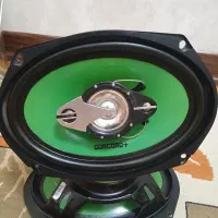 دو عدد باند آمپ خور