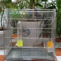 قفس سهره گنبدی فنر خوب