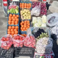 میوه فروشی حاجی ارزانی