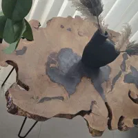 فروش تردمیل و مجسمه و میز جلو مبلی وعسلی|تجهیزات ورزشی|شهریار, شهرک شاهد|دیوار