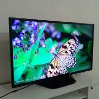 ال ای دی۴۳اینچ الجی اصلی پشت زرشکی معروف نونو درحد