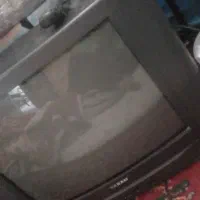 تلویزیون|تلویزیون و پروژکتور|کرمان, |دیوار