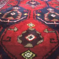 قالی دست بافت محلی|فرش|شوشتر, |دیوار