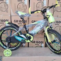 ۱۶  پسرانه حرفه ای