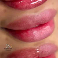 شیدینگ لب / میکرو ابرو