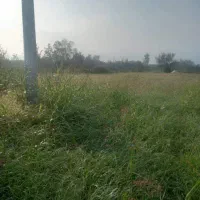 فروش قطعه زمین باغی|فروش زمین و ملک کلنگی|کلاچای, |دیوار