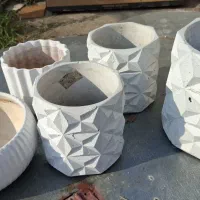 تعدادی گلدان|گل و گیاه طبیعی|کلاچای, |دیوار