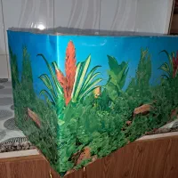 آکواریوم|ماهی|بروجن, |دیوار