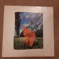 صفحه گرام گرامافون گروه پینک فلوید|کلکسیون اشیاء عتیقه|تهران, ایرانشهر|دیوار