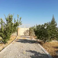 باغ فارس مبین سیاخ دارنگون|فروش زمین و ملک کلنگی|شیراز, لاله|دیوار
