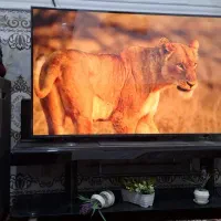 تلویزیون ال جی QNED86 سایز ۵۵ اینچ Ultra 2024|تلویزیون و پروژکتور|سراوان, |دیوار