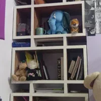 کتابخانه|کتابخانه، شلف، قفسه‌های دیواری|زنجان, |دیوار