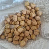 نخود|حراج|آباده, |دیوار