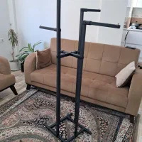 قوطی