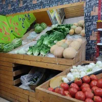 وسایل میوه فروشی|فروشگاه و مغازه|بندرعباس, |دیوار